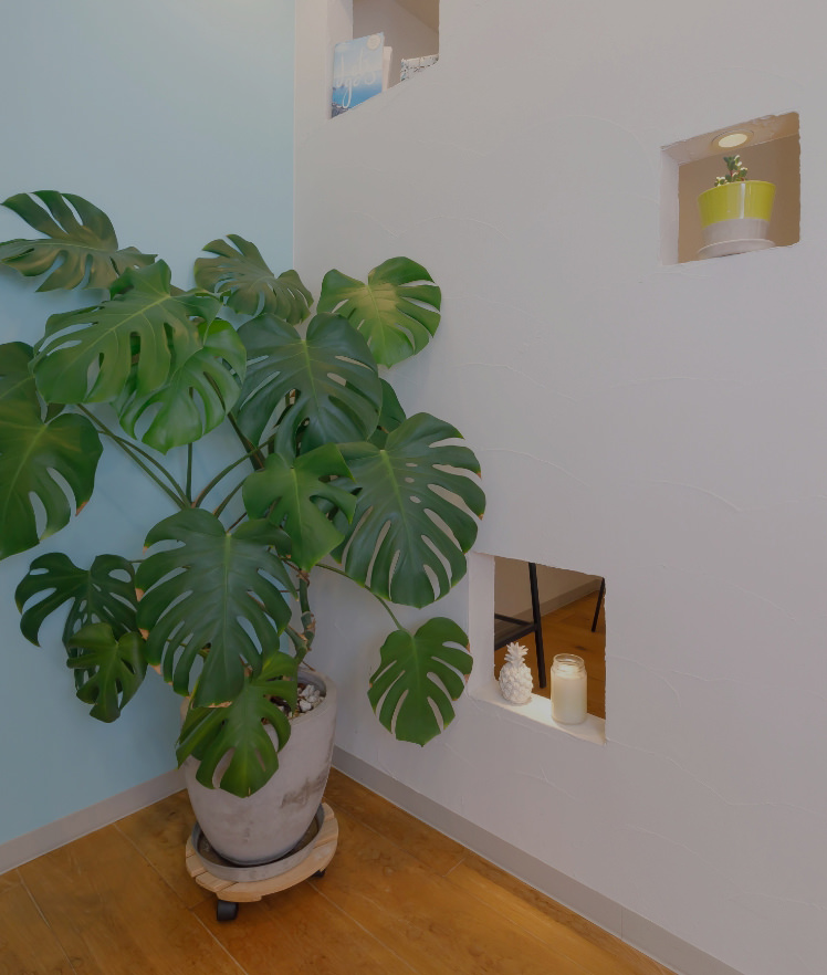 なかまち⻭科医院