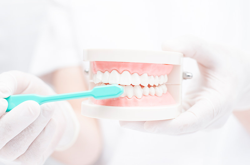 ブラッシング指導・クリーニング